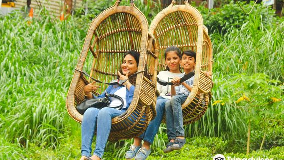 Dream Land Fun and Adventure