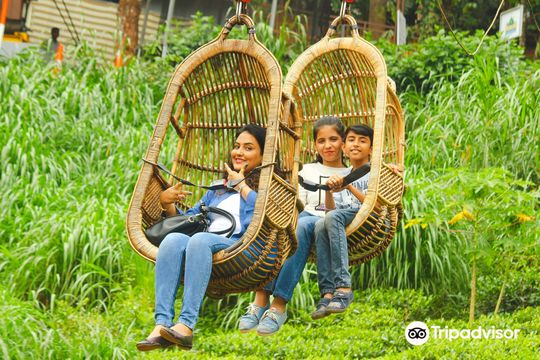 Dream Land Fun and Adventure