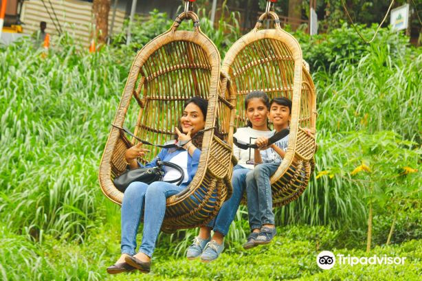 Dream Land Fun and Adventure