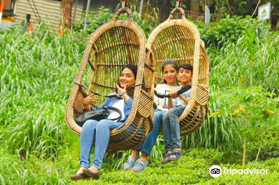 Dream Land Fun and Adventure