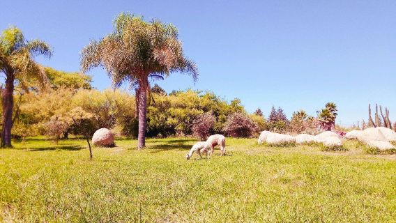 Botánico, Universidad de Talca Garden