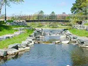 Bowring Park