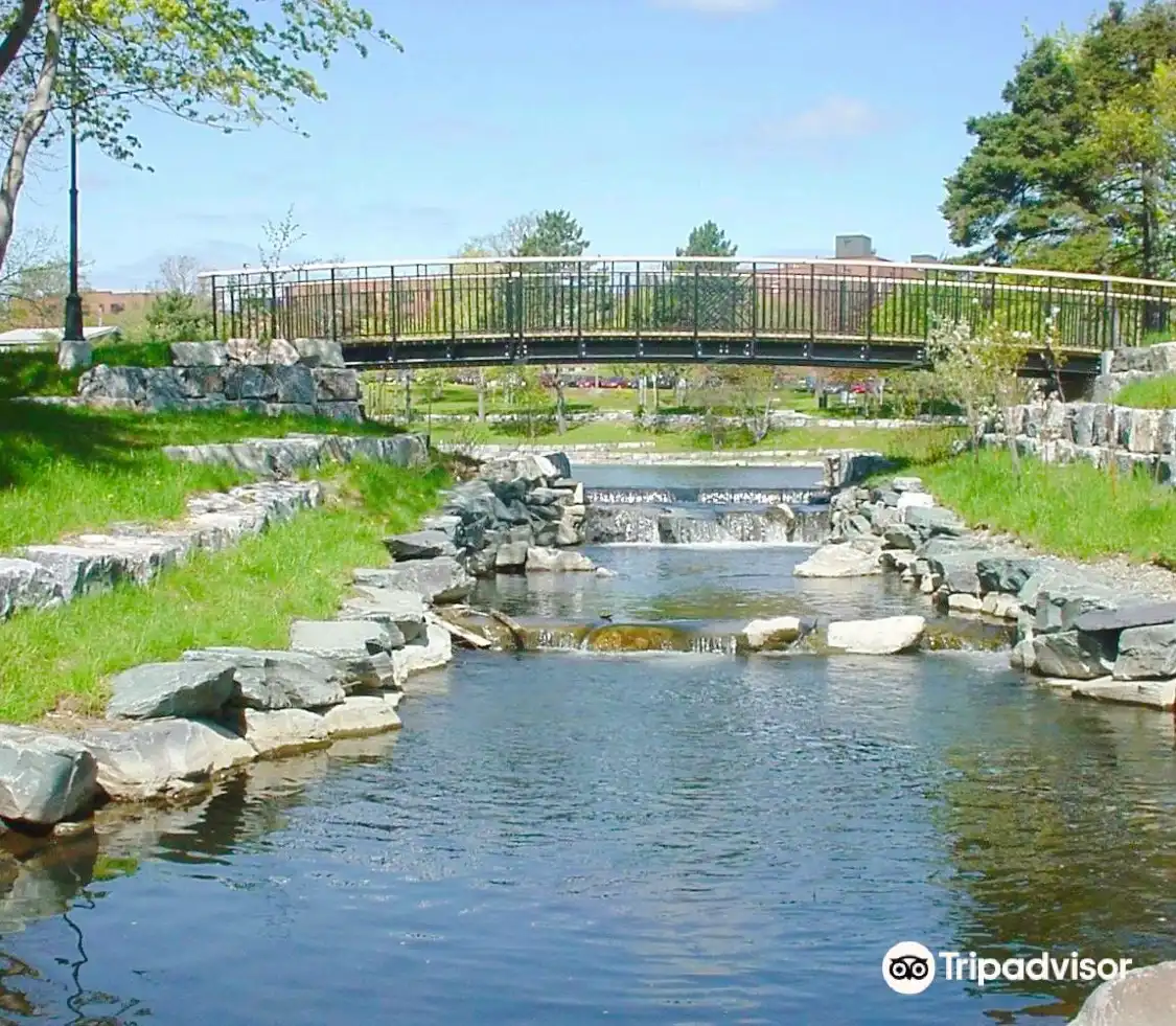 Hotels near Bowring Park