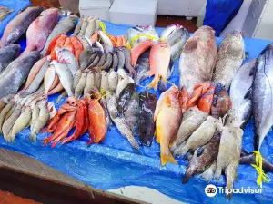 Central Fish Market