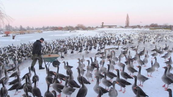 WWT Slimbridge