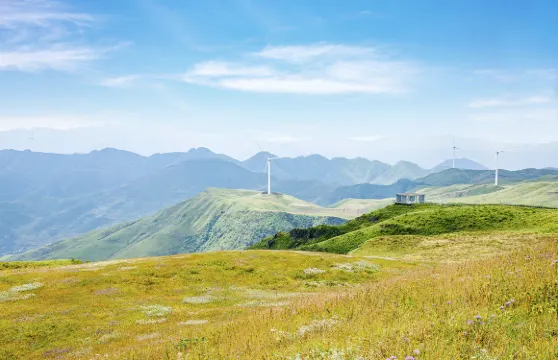 阿西里西韭菜坪來回纜車票大小同價