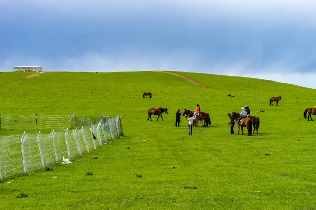 Horse Riding in Ulanqab