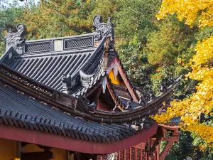 ของกิจกรรมที่น่าทำที่สุดยอดนิยมในXikou-Tengtou Scenic Area