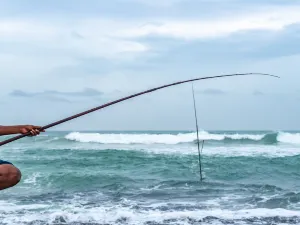 Sri Lanka Sea Fishing