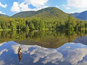 High Peaks Wilderness