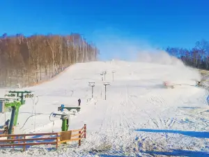 Aukštagirė Ski Area
