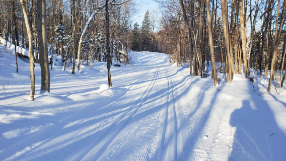 Les Sentiers La Balade de Lévis