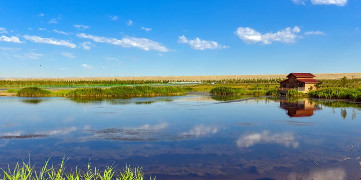 Karamay Lake Wetland