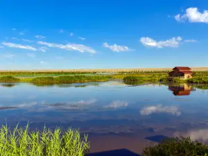 Kelamayi Wetlands
