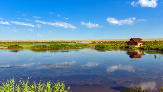 Karamay Lake Wetland