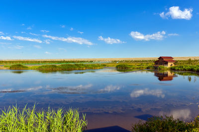 Karamay Lake Wetland