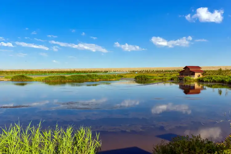 Hotels near Kelamayi Wetlands