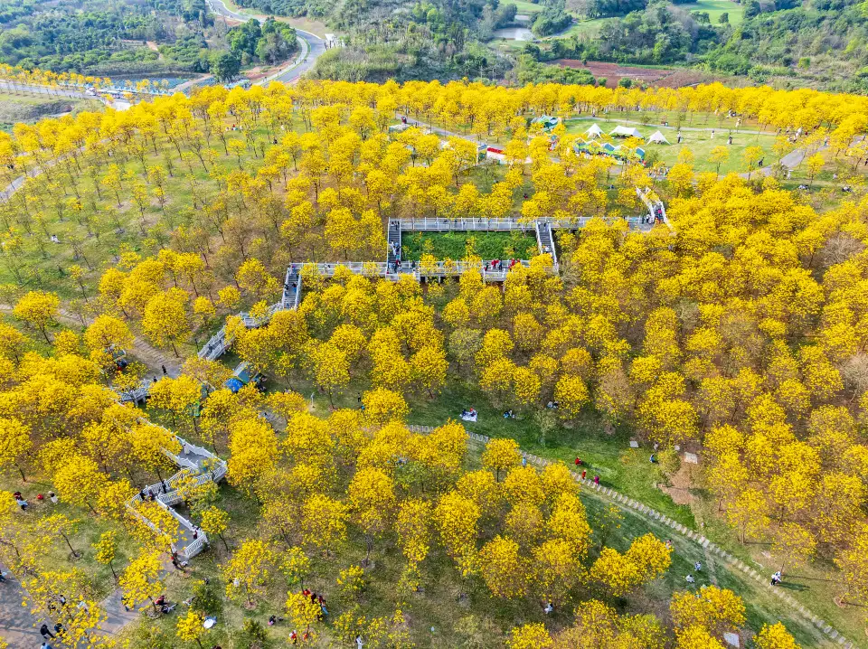 5_Qingxiu Mountain