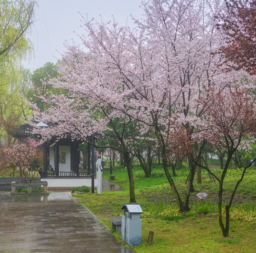 5_楓橋景區