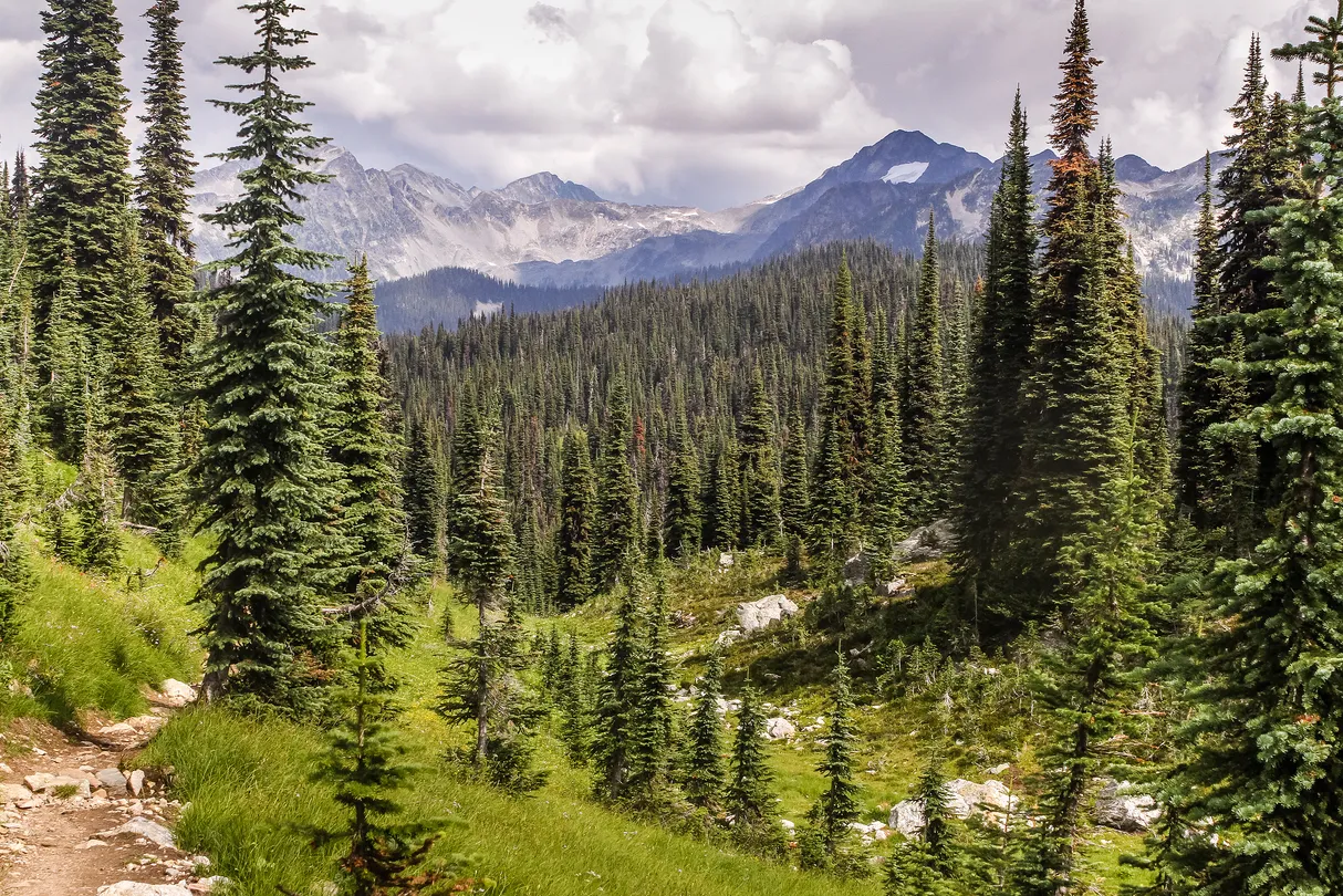 2_Jasper National Park