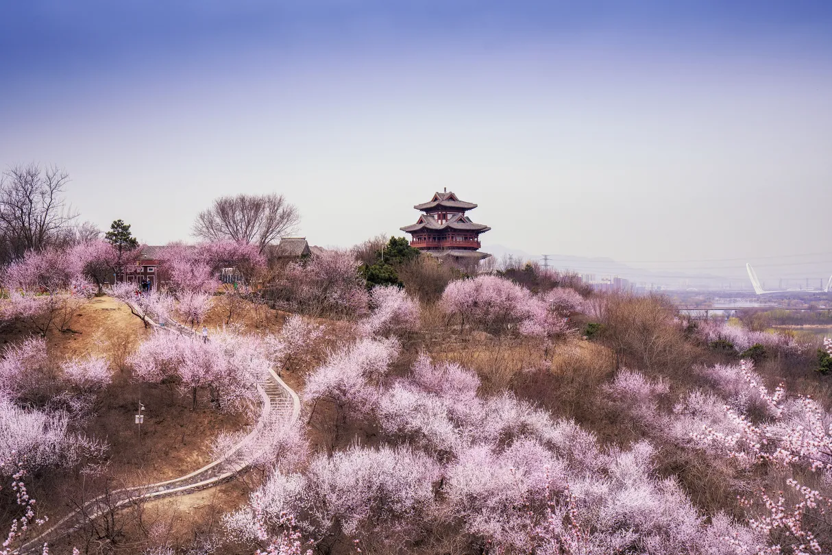 4_ปักกิ่งสวนนิทรรศการ