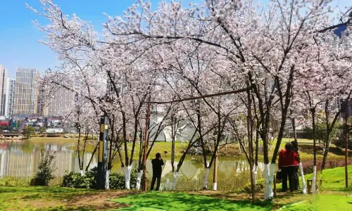 Huaguoyuan Wetland Park