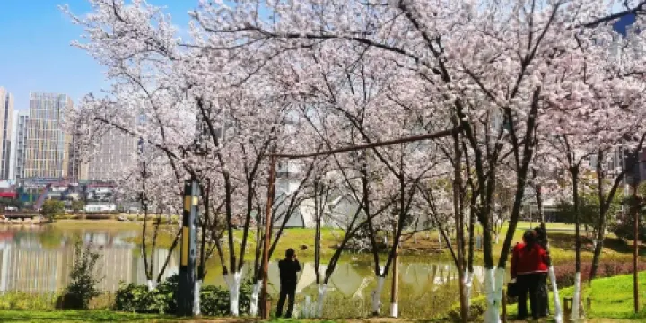 花果園濕地公園