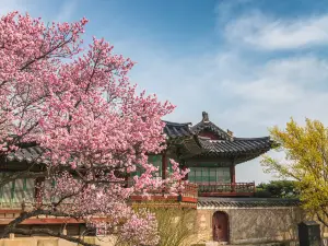 昌德宮