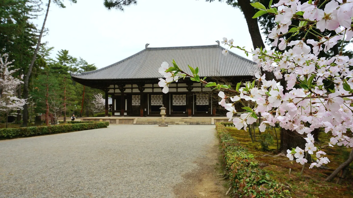 4_唐招提寺