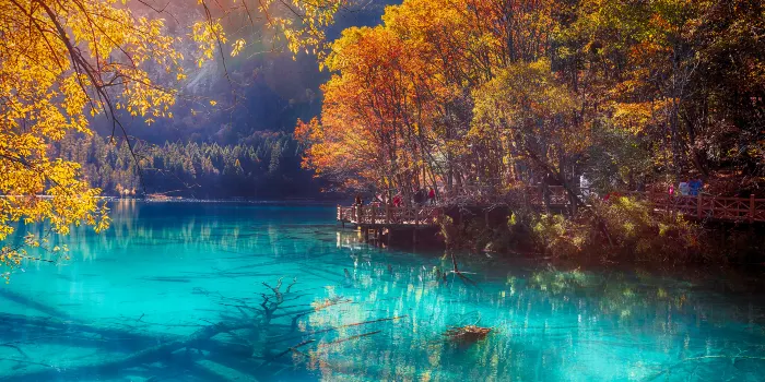 Jiuzhaigou National Park (Cửu Trại Câu) image 1