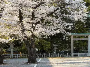 那霸的熱門踏青走春地