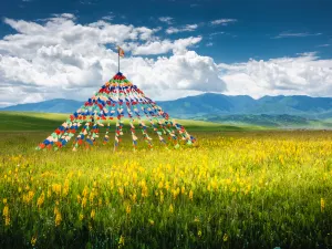 샤허현 상커 초원 관광지