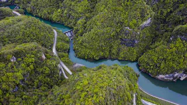 Yaozhi River Scenic Area