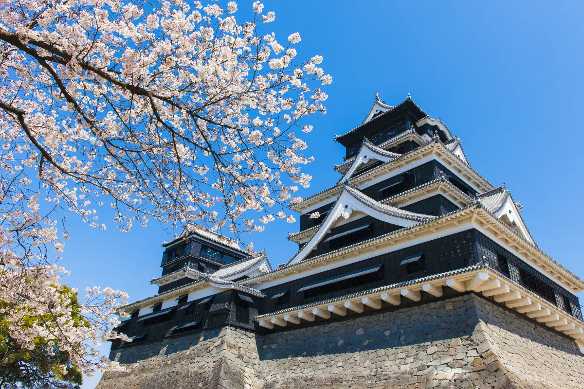 구마모토 날씨 벚꽃