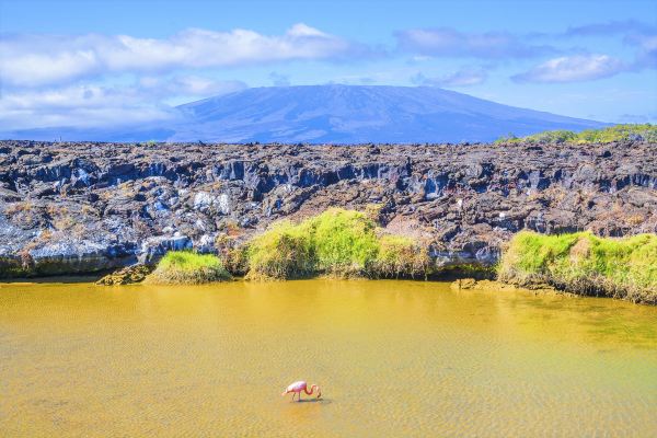 Vuelos de Isla de San Cristóbal a Isla Isabela