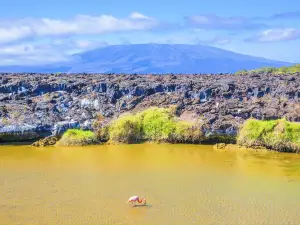 Isabela Island