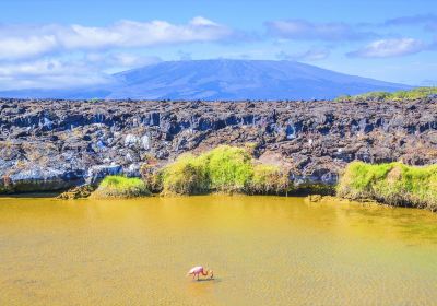 Isla Isabela