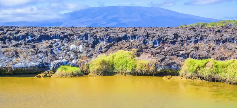 Hoteles en Isla Isabela