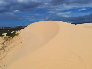 White Sand Dunes
