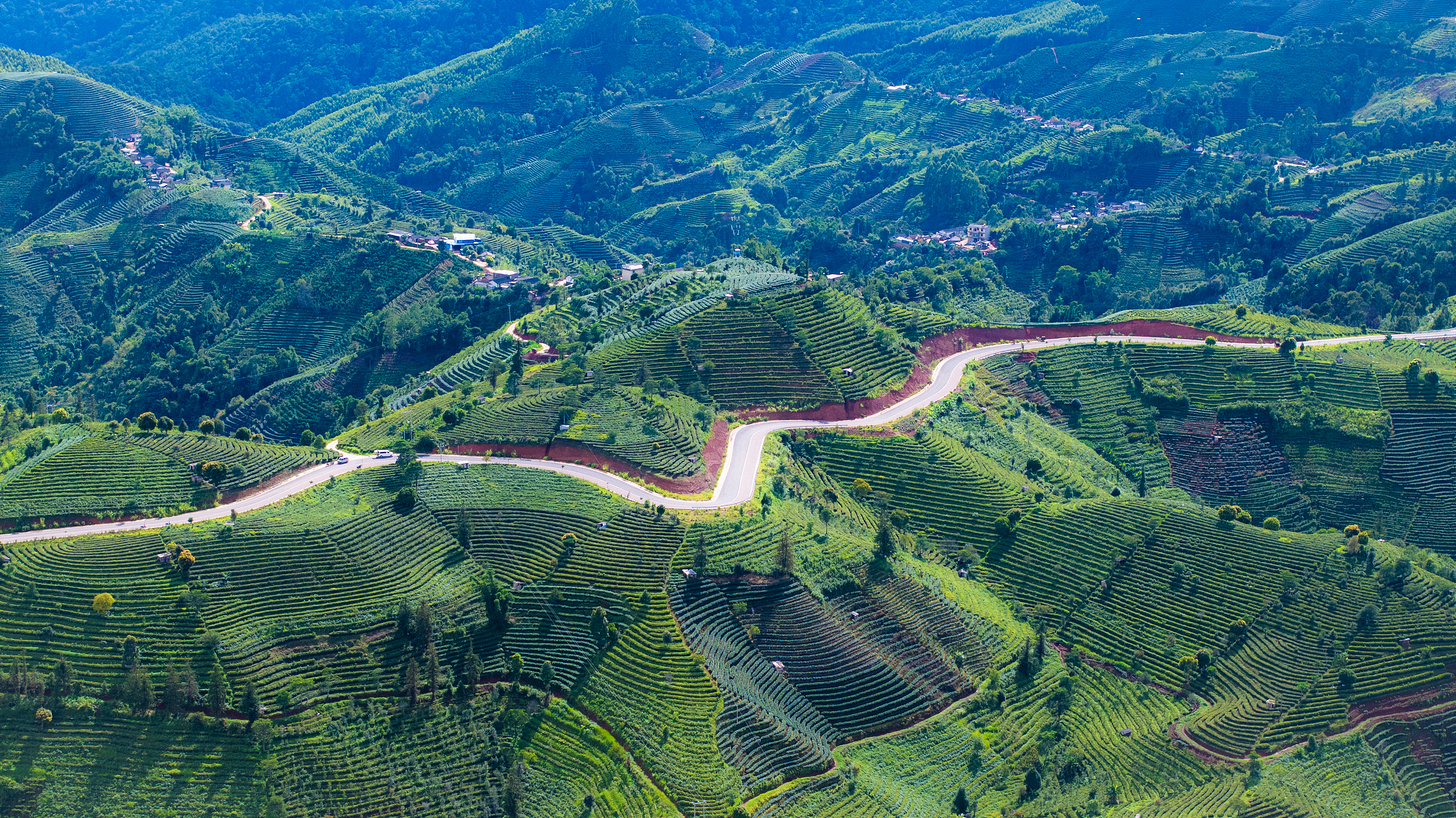 2025 Pu'er Travel Guide: Must-see attractions, popular food, hotels, transportation routes (updated in July)