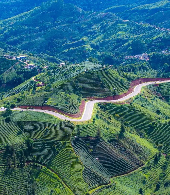 Pu'er