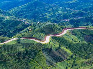 上海飛普洱的時間