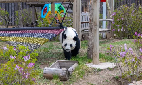 Daqingshan Safari Park