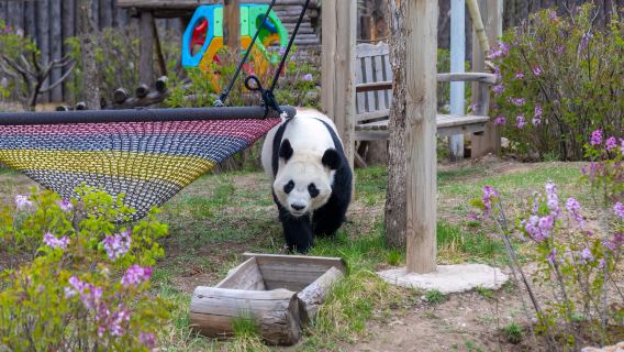Daqingshan Wildlife Park