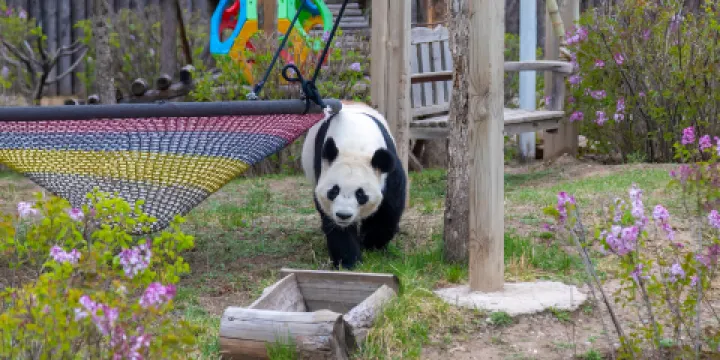 大青山野生動物園