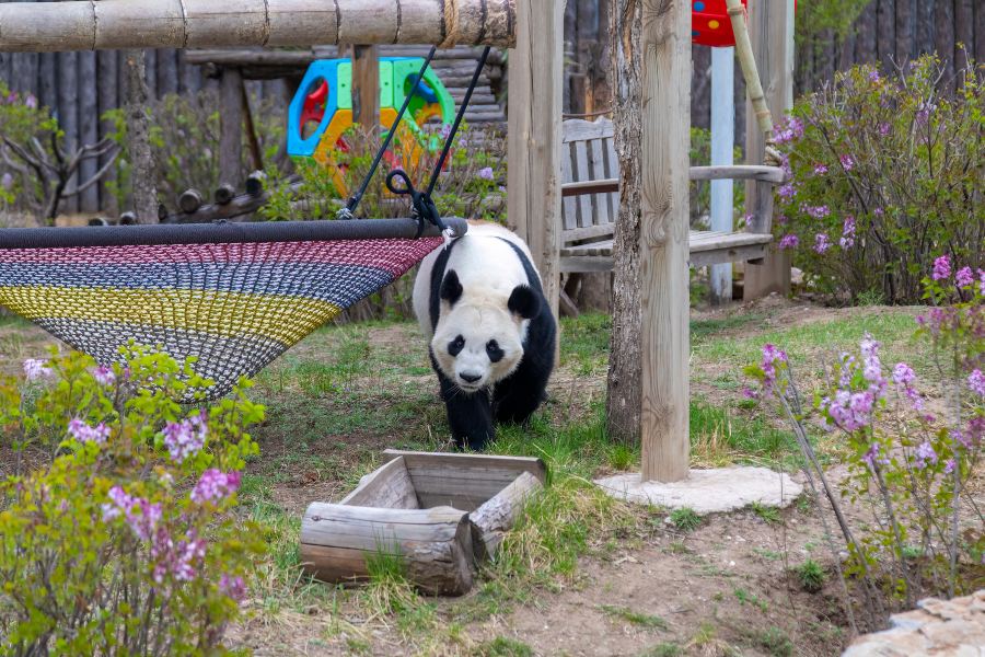 大青山野生動物園