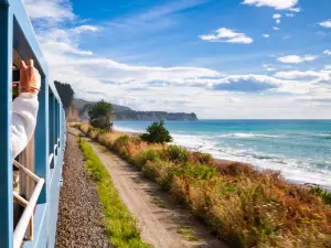 Coastal Pacific Train