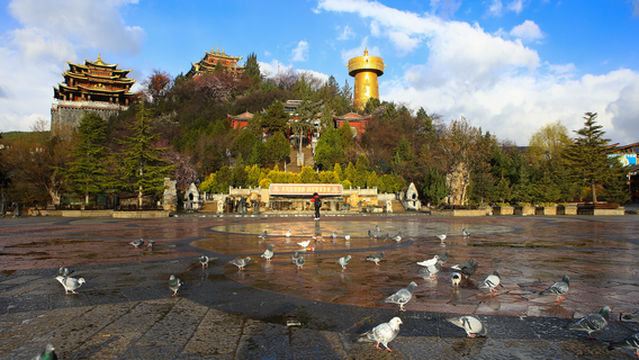 Лунный свет Площадь