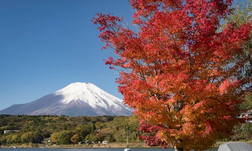 Lake Yamanaka