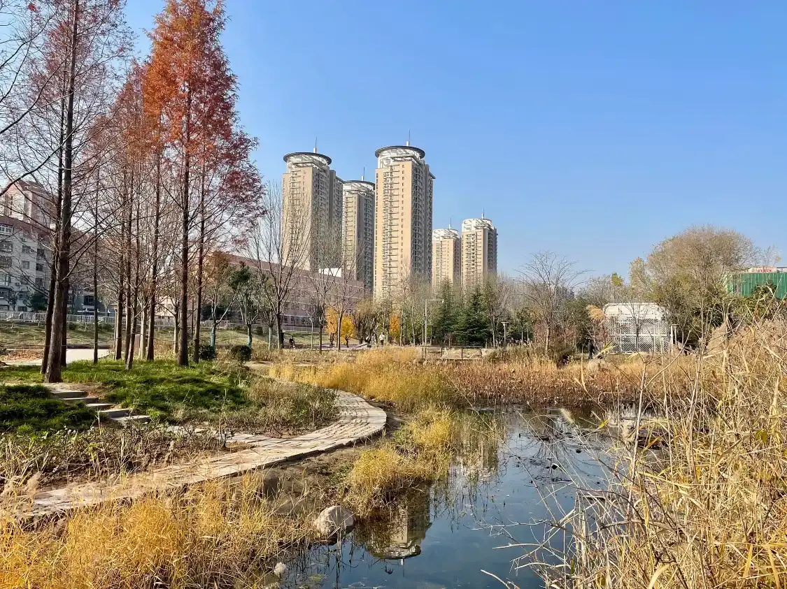 Hotels near Zijing Mountain Park